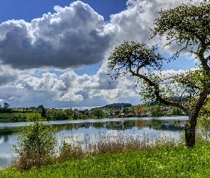 Trawa, Drzewa, Rzeka, Chmury