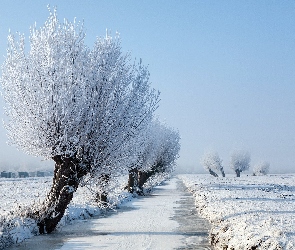 Rzeka, Śnieg, Pola, Drzewa, Zamarznięta