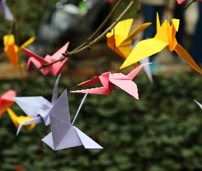 Origami, Ptaki, Kartki, Kolorowe