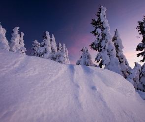 Góry, Śnieg, Drzewa