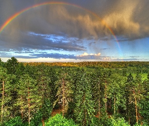 Lasy, Chmury, Tęcza, Łąki