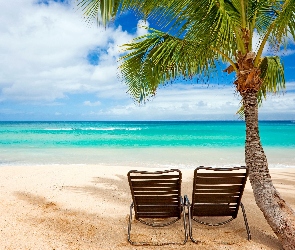 Plaża, Wakacje, Leżaki, Palma, Morze