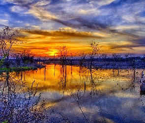 Drzewa, Słońca, Jezioro, Zachód