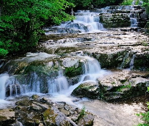 Rzeka, Kaskada, Las