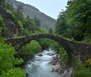 Rzeka, Lasy, Góry, Most