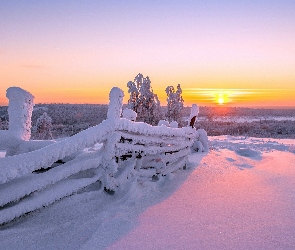 Płot, Śnieg, Słońca, Zachód, Drzewa