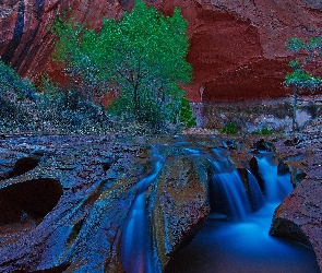 Kanion, Krzewy, Rzeczka, Wodospad, Utah