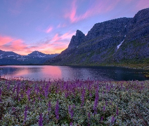 Norwegia, Góry, Łąka, Jezioro