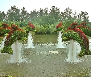 Krzewy, Delfiny, Ogród, Fontanny