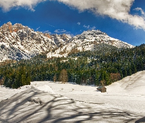 Lasy, Śnieg, Góry