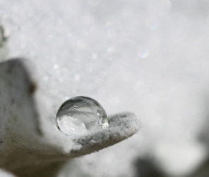 Powierzchnia, Kropelka, Szara