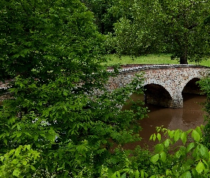 Rzeka, Most, Park