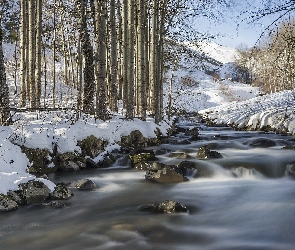 Śnieg, Kamienie, Rzeka, Las