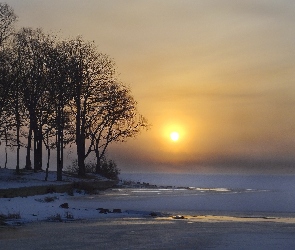 Jezioro, Śnieg, Mgła, Drzewa