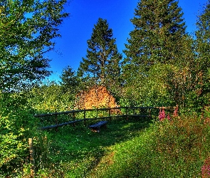 Płot, Zieleń, Zakątek, Ławka, Drzewa
