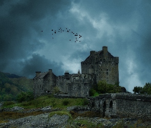 Szkocja, Ptaki, Zamek Doune Castle, Wieczór, Wzgórze