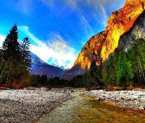 Stany Zjednoczone, Stan Kalifornia, Lasy, Rzeka, Góry, Park Narodowy Yosemite