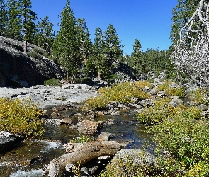 Las, Rzeka, Stan Kalifornia, Stany Zjednoczone, Park Narodowy Yosemite, Kamienie