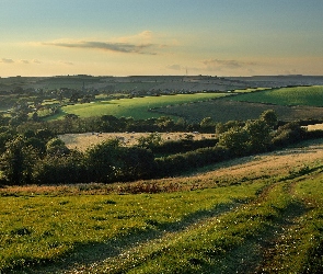 Pola, Dróżka