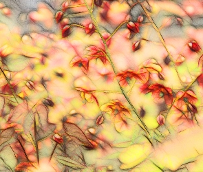 Czerwone, Fractalius, Kwiaty