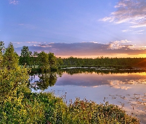 Słońca, Zachód, Jezioro, Lasy