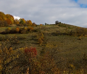 Jesień, Drzewa, Łąki, Pola