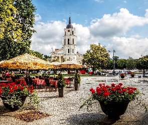 Z Pelargoniami, Kwietniki, Kościół, Wilno, Restauracja, Drzewa