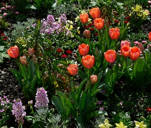 Kwiatowy, Ogród
