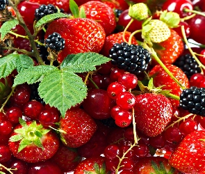 Porzeczki, Jeżyny, Owoce, Truskawki