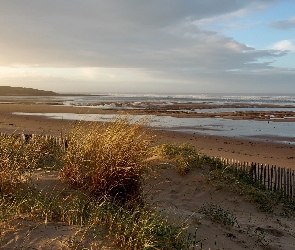 Chmury, Trawy, Morze, Plaża