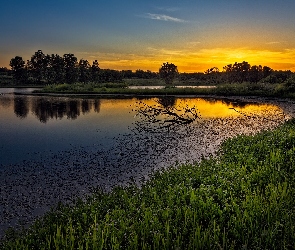 Rzeka, Słońca, Zachód, Lasy