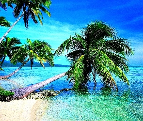 Palmy, Plaża, Tropiki, Morze