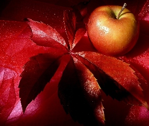 Jabłko, Liść, Czerwony