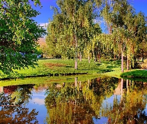 Jezioro, Odbicie, Drzewa
