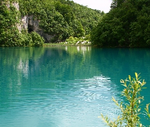 Las, Jezioro, Skały