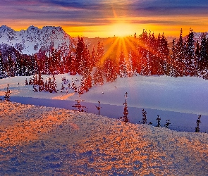 Drzewa, Zima, Słońca, Zachód, Góry