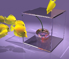 Czereśnia, Rybki, Grafika 3D, Żółte