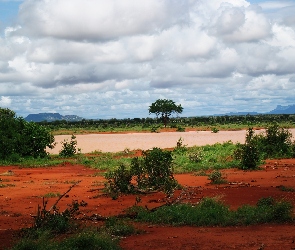 Afryka, Pustynia, Kenia