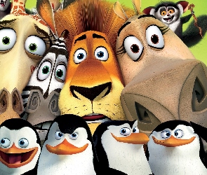 Lemur, Hipopotam, Żyrafa, Pingwiny, Lew, Madagaskar, Zebra