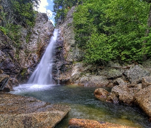 Krzewy, Drzewa, Wodospad, Kamienie