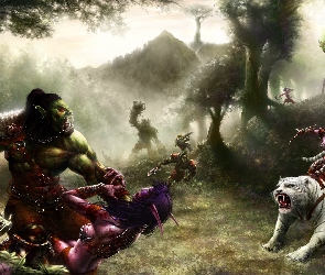 World Of Warcraft, Elfy
, Nocne, Orkowie