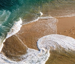 Francja, Plaża, Morze, Ptaki