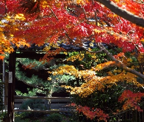 Kioto, Japonia, Park
