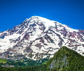 Lasy, Góra, Wulkan, Mount Rainier