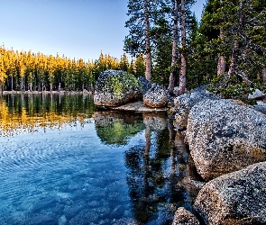 Kamienie, Jezioro Tenaya, Stan Kalifornia, Stany Zjednoczone, Park Narodowy Yosemite, Las