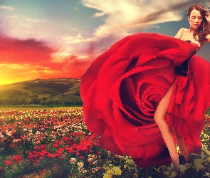 Kobieta, Zachód Słońca, Róże