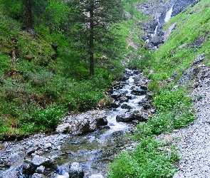 Kamienie, Lasy, Górski, Potok