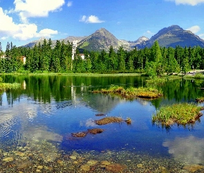 Las, Góry, Jezioro
