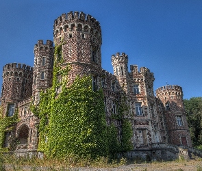 Winorośl, Zamek, Chateau De La Foret, Belgia