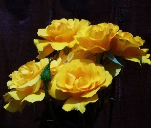 Róże, Żółte